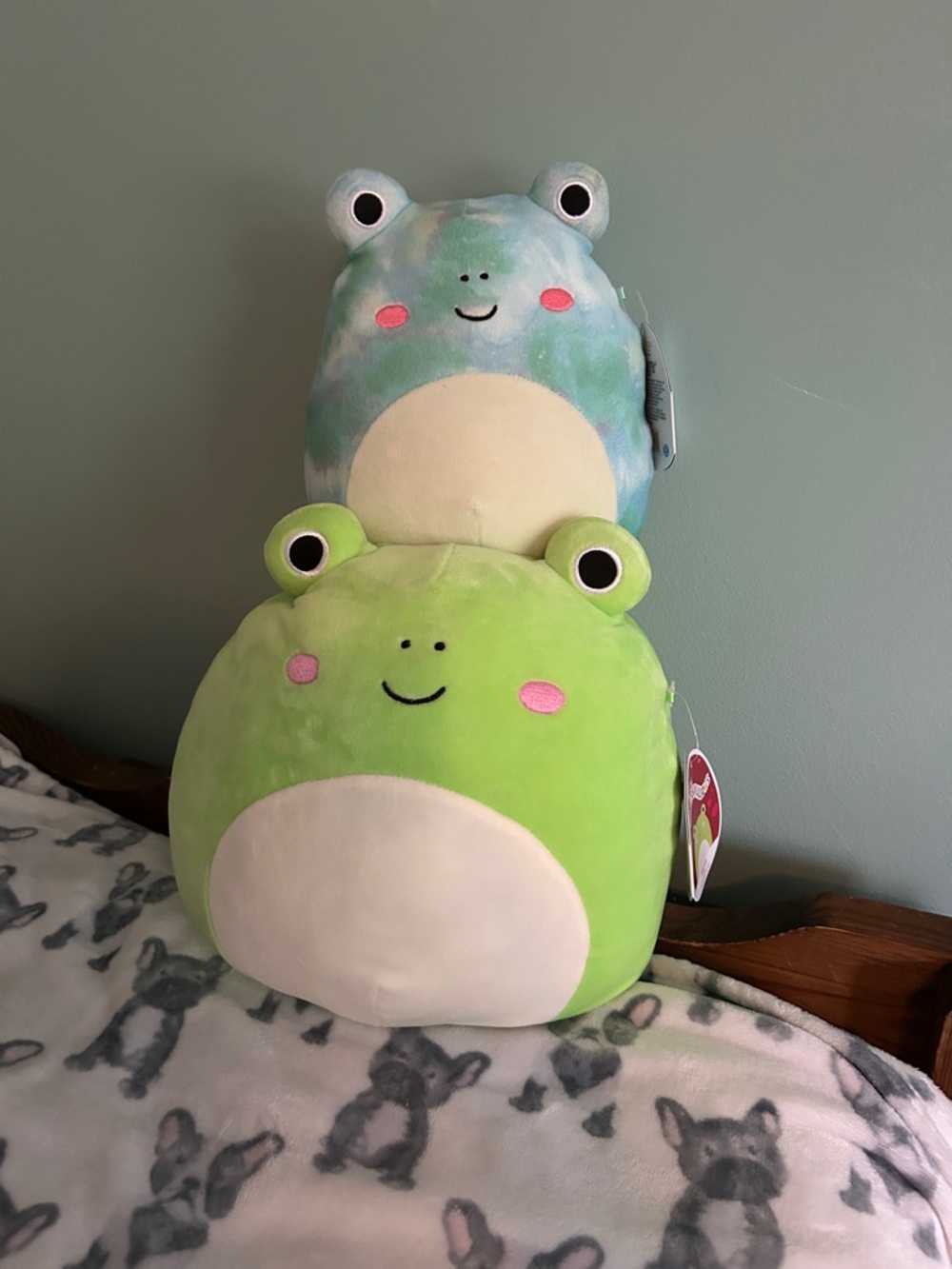 Squishmallows Green Frog & Blue Tie-Dye Frog Plush Duo